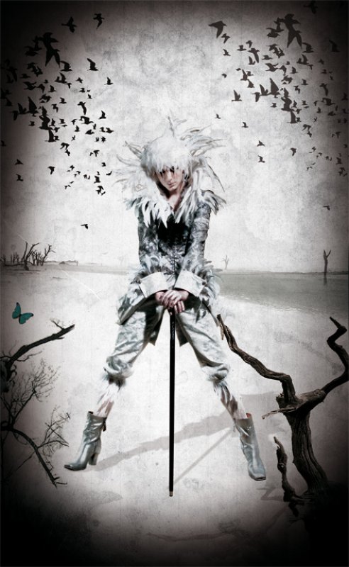 Folge Dem Weißen Kaninchen Folge Dem Weißen Kaninchen